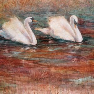 Watercolor painting of two Swans
