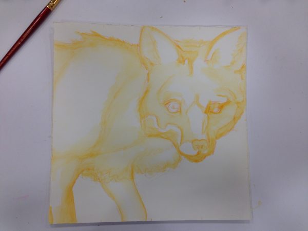 Preliminary drawing of Fox by Artist Robyn Ryan