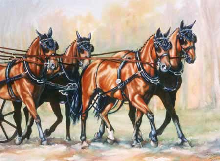 Four Carriage Horses Trotting