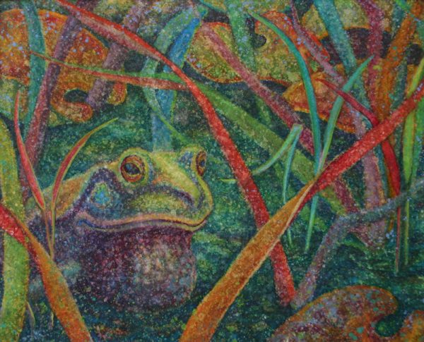 Watercolor painting of bullfrog in reeds