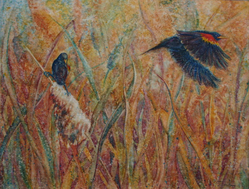 Red Winged Black Birds Watercolor Painting by Robyn Ryan