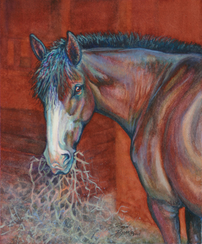 Artist Robyn Ryan equine portrait