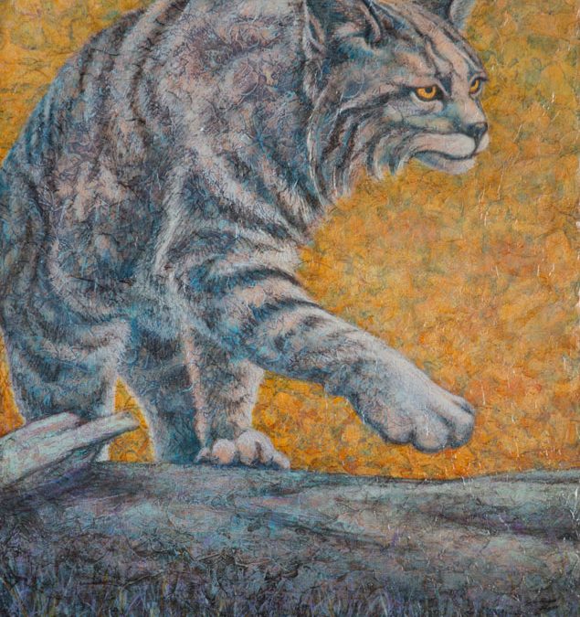 Bobcat
