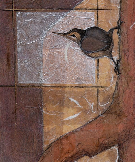 Nuthatch Study II