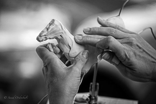 Robyn Ryan Sculpting Hands