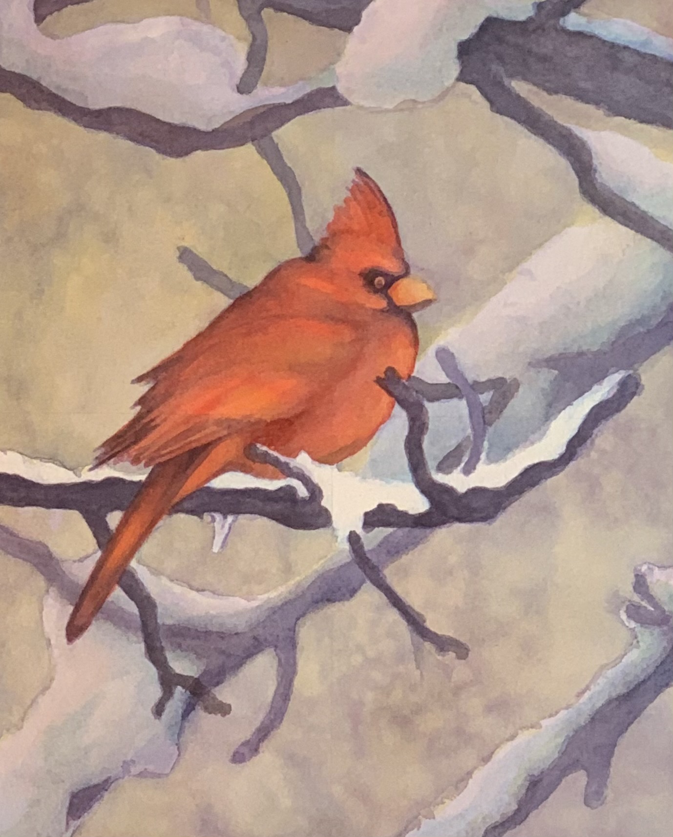 Cardinal in Snow Watercolor painting by Robyn Ryan