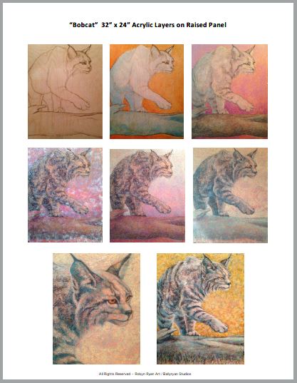 Robyn Ryan's Bobcat ALWS Progression