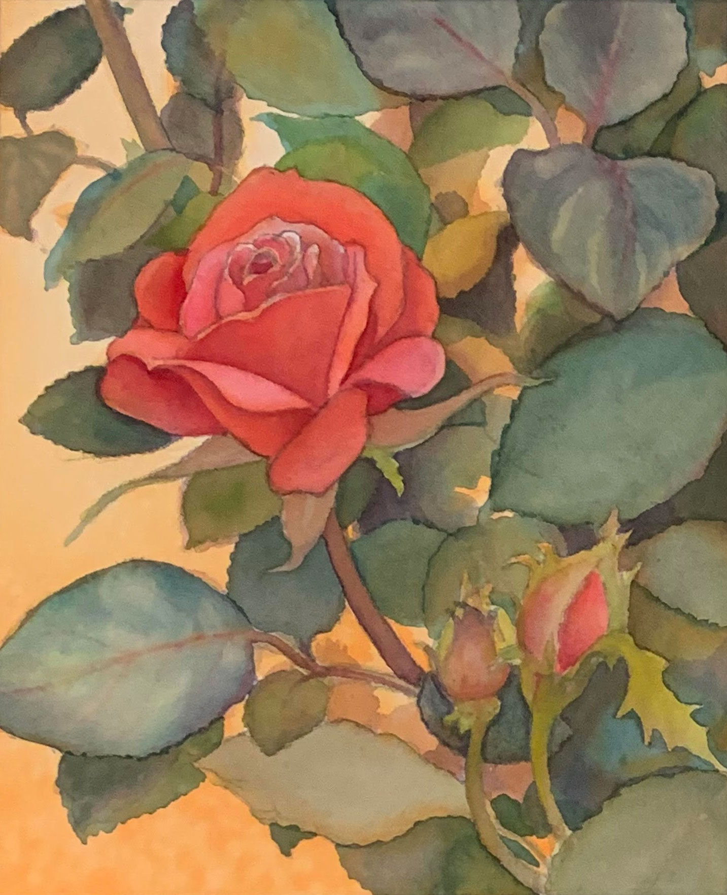 Robyn Ryan Knockout Rose Watercolor Demonstration