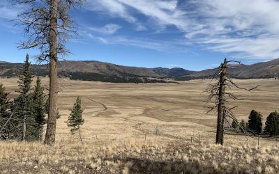 Artist in Residence Adventure ~ Stage 4:  Field Trip to Valles Caldera…   