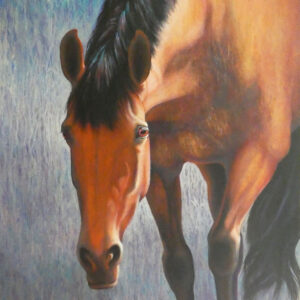 Mixed media painting of bay horse with drips and collage by VA artist Robyn Ryan
